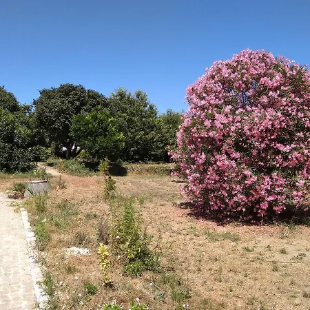 بيت خشبي Casa Do Forno, Viseu