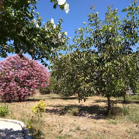 Casa Do Forno, Viseu * Oliveira de Barreiros