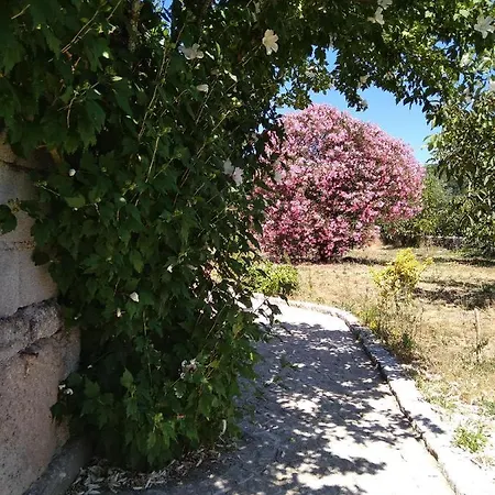 Casa Do Forno, Viseu بيت خشبي *