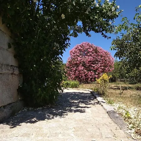 Casa Do Forno, Viseu