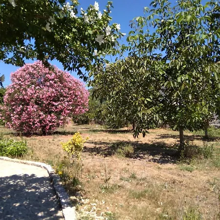 Casa Do Forno, Viseu بيت خشبي *