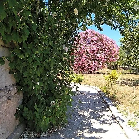Casa Do Forno, Viseu Oliveira de Barreiros