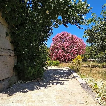 Casa Do Forno, Viseu Domek letniskowy *