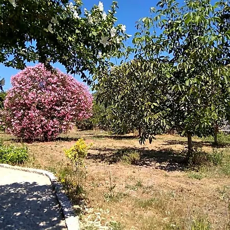 Casa Do Forno, Viseu Oliveira de Barreiros