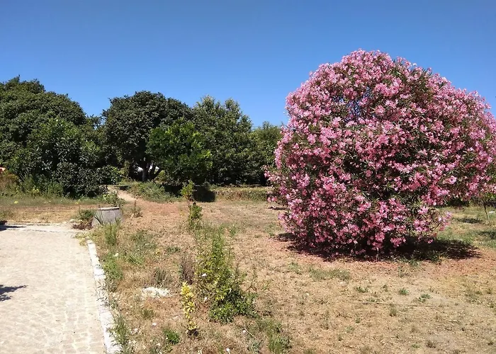 بيت خشبي Casa Do Forno, Viseu