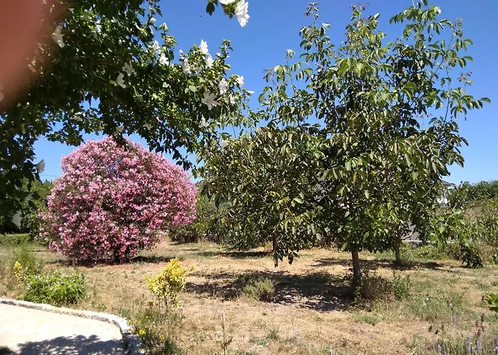 Casa Do Forno, Viseu * Oliveira de Barreiros