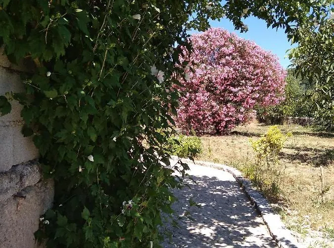 Casa Do Forno, Viseu بيت خشبي *