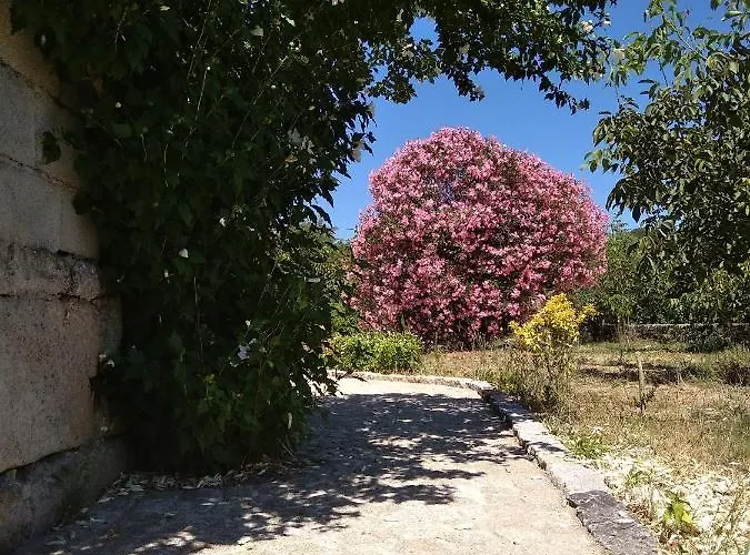 Casa Do Forno, Viseu