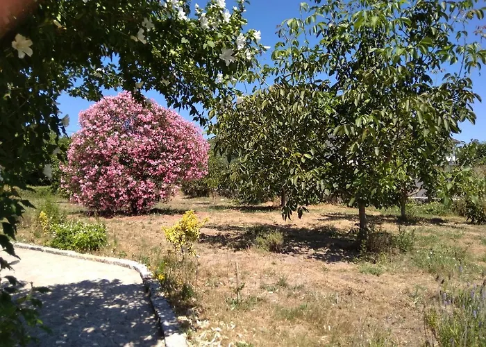 Casa Do Forno, Viseu بيت خشبي *